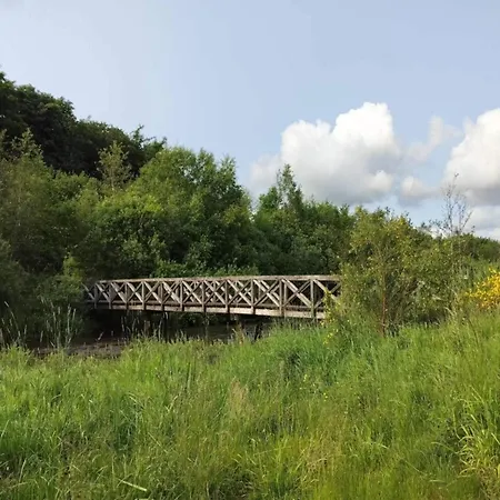 4 Person In Ansager-by Traum *