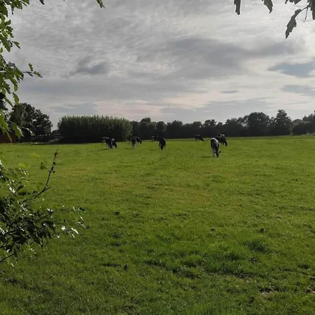 4 Person In Ansager-by Traum