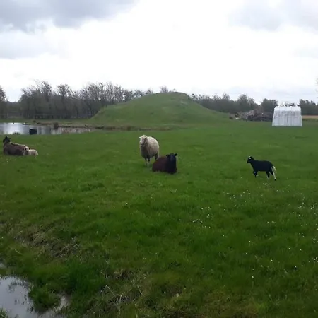 4 Person In Ansager-by Traum *